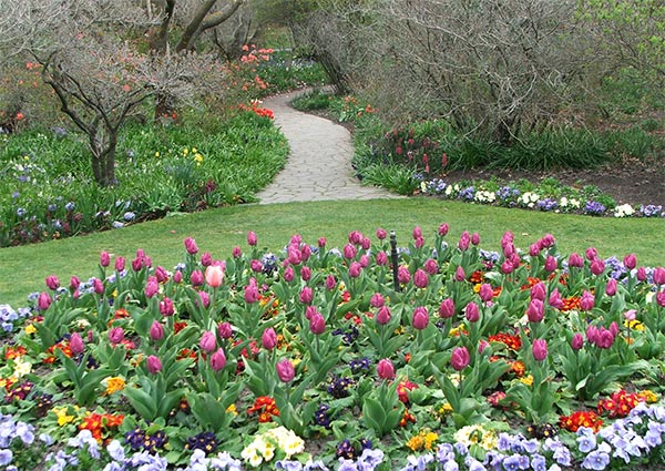  The annual bedding display is changed seasonally. 