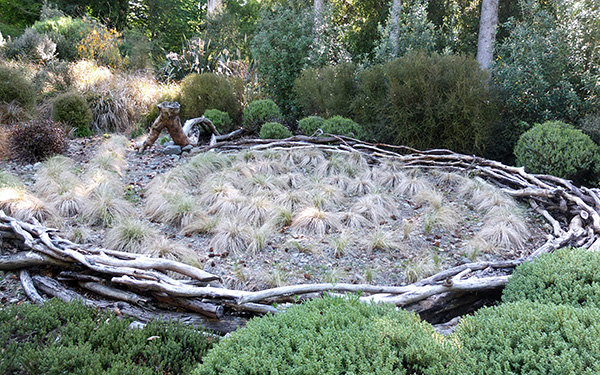  In a hollow, surrounded by loosely woven branches. 