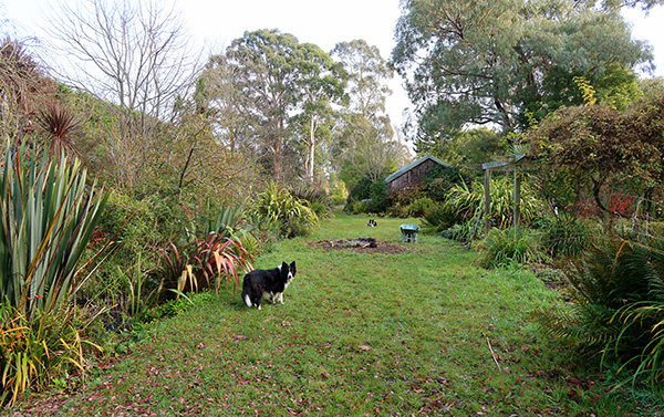  With dogs and wheelbarrow. 