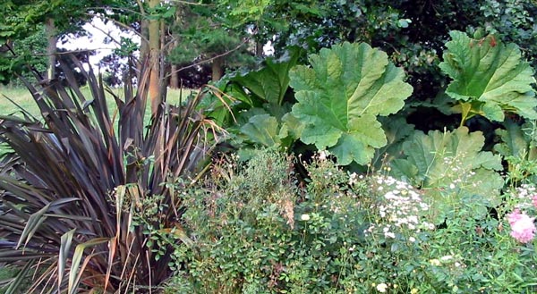  Giant neighbours by the pond. 