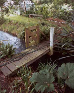  You can just see the JAM Garden seat in the garden by the glasshouse. 