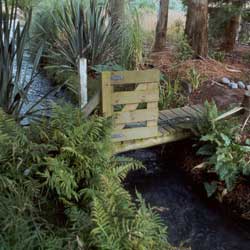  Ferns and flaxes surround Rooster Bridge. 