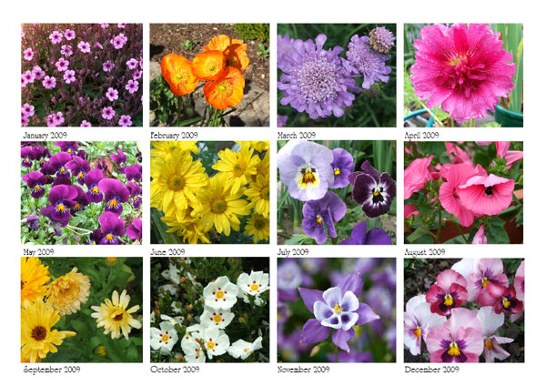 Flowers Calendar