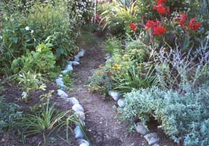  This is what a path should look like. This path is focussed, in touch with it's inner identity. 