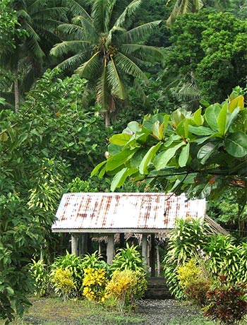  A fale, with its ornamental garden. 