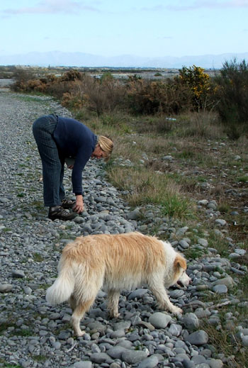  Head Gardener and Rusty at the river. 