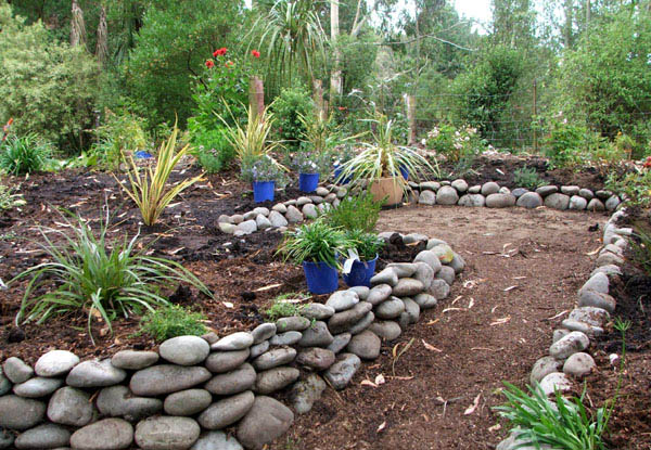  The blue pots are Rosemary plants. 