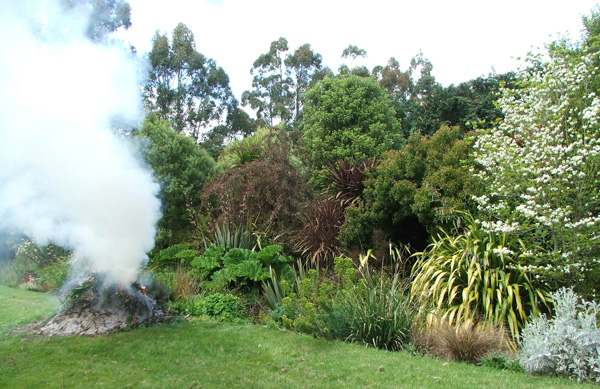  What silly gardener would take a photograph of her garden bonfire? 