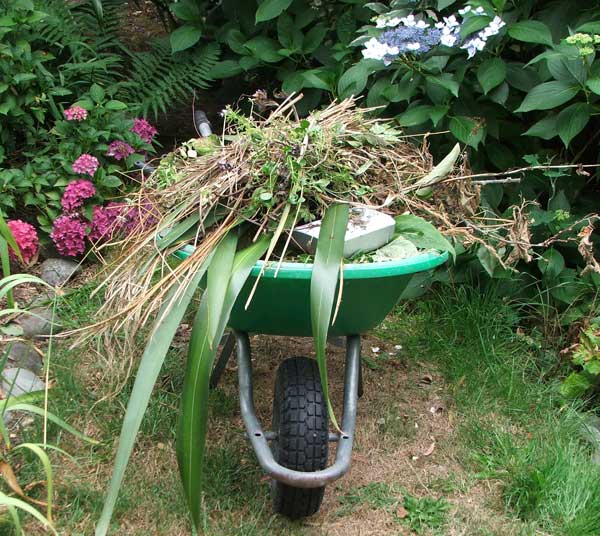  Every hour I can fill the wheelbarrow with weeds. 