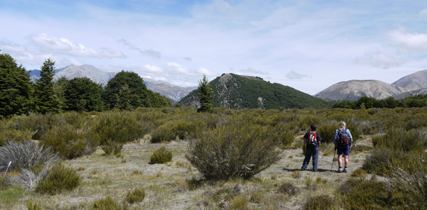  An easy little hike. 