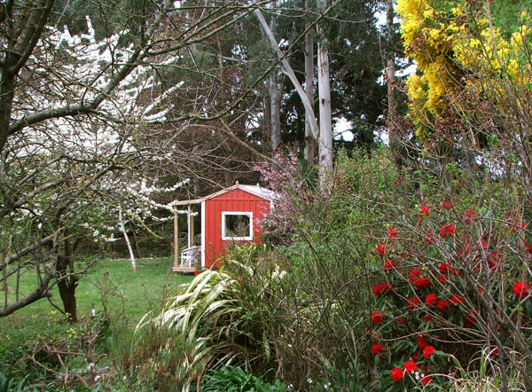  Seen through the Appletree Border. 