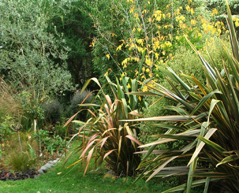  I love grasses and spiky plants! 