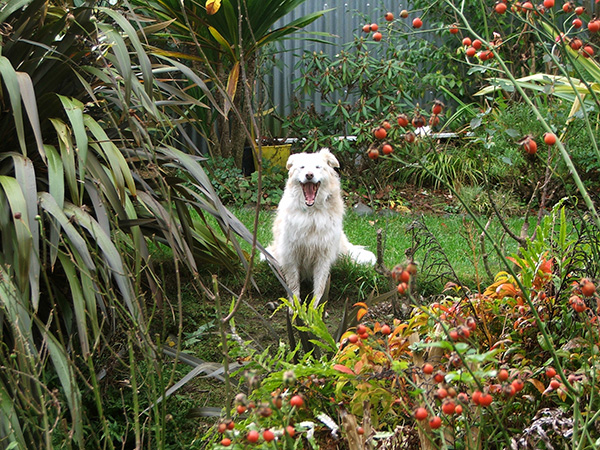  Gardening is soooooo boring! 