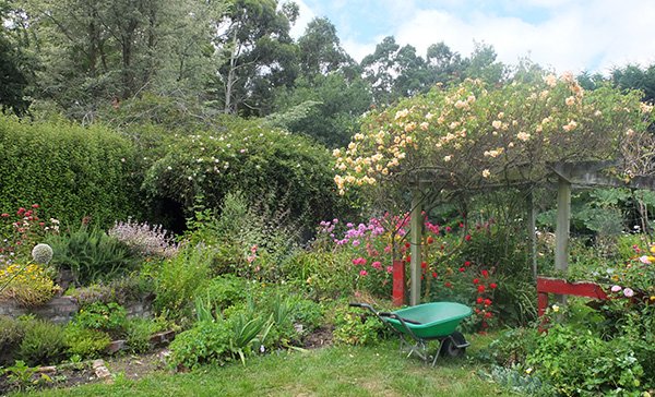  And a colourful wheelbarrow... 