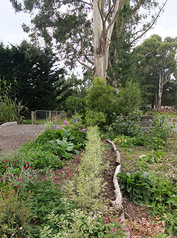  The logs mark the boundary. 