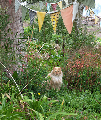  Helping with the weeding? 