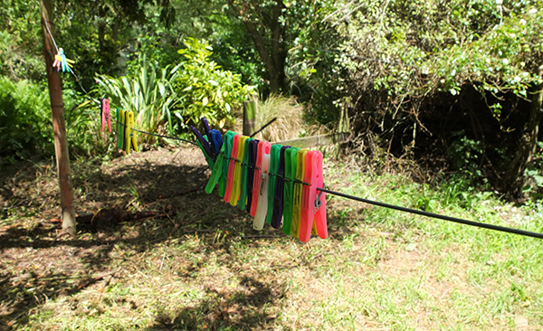  Suddenly my washing line is sunny again! 