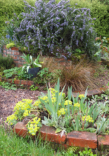  Covering the top of the Herb Spiral. 