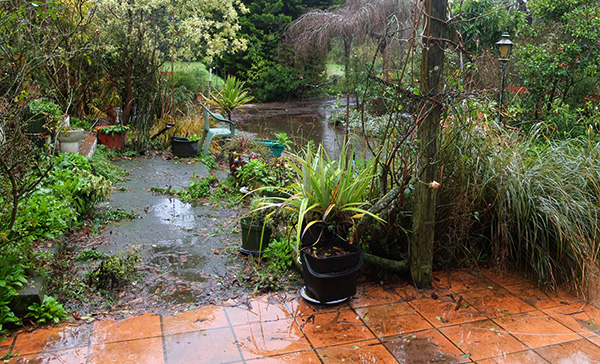  Too wet to garden. 