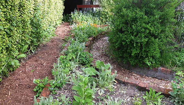  Behind the Herb Spiral. 