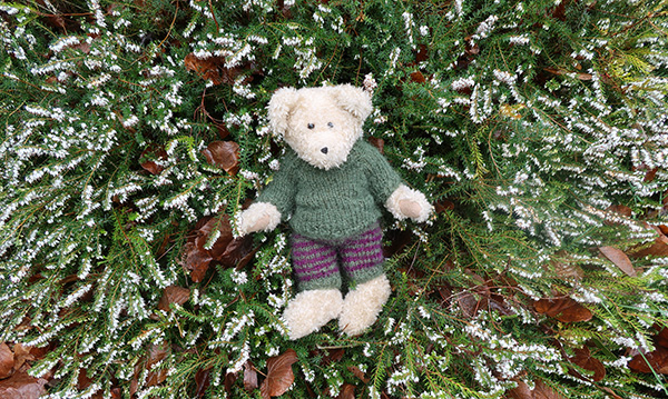  The newly knitted moss green woolly outfit. Check out those stripes! 