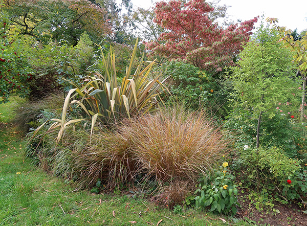  Spiky plants are a Phormium and Anemanthele grasses. 