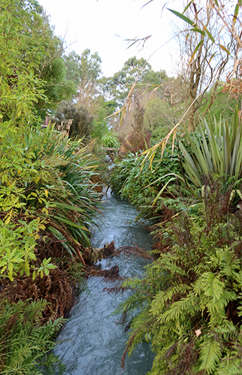  The view from Car Bridge looking downstream. 