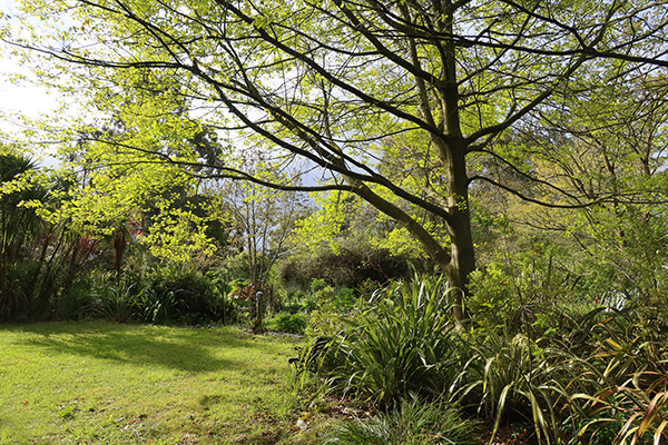  In the late afternoon sun. 