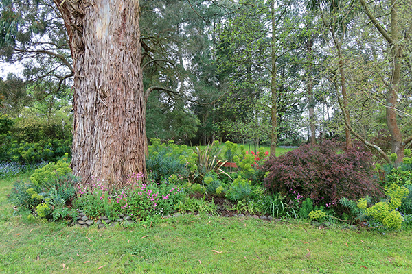  The newly filled in garden. 