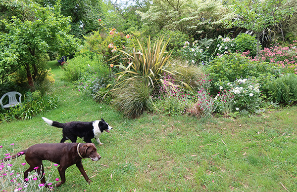  Escher and Winnie go round the Island Bed. 