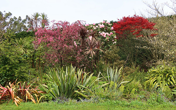  Crab-Apple, Rhododendron, Phormiums, Maple. 