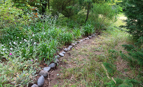  The Agapanthus garden is weeded and re-organised. 