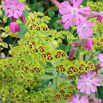  In a large pot. 