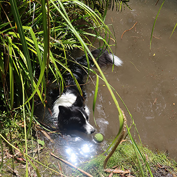  Cooling off. 