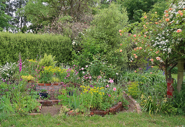  Looking very rosy. 