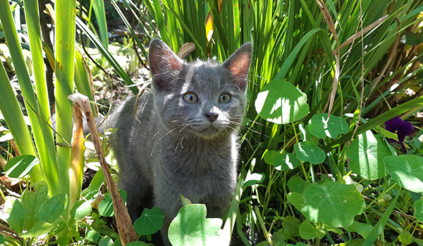  Happy in the garden. 