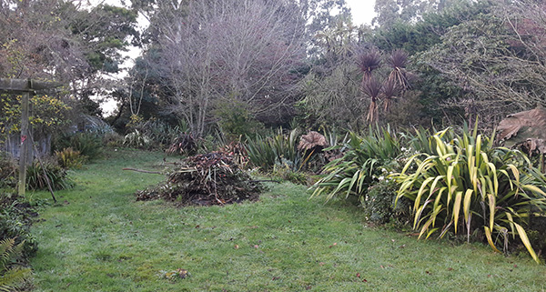  The back lawn and the bonfire waiting. 