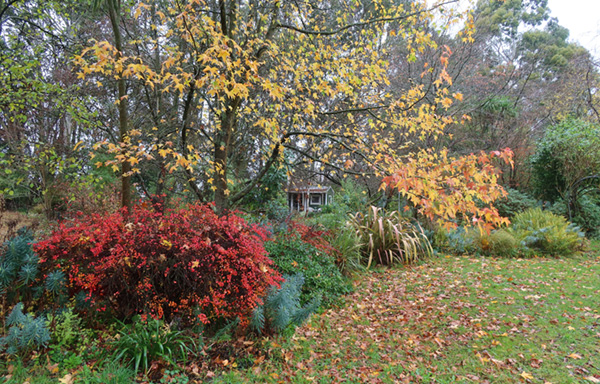  You can just see Pond Cottage through the trees. 