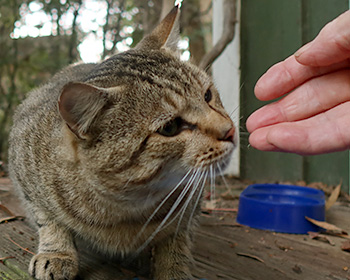  Checking my hand out for food. 