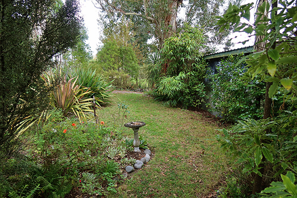  Looking towards the neighbours. 