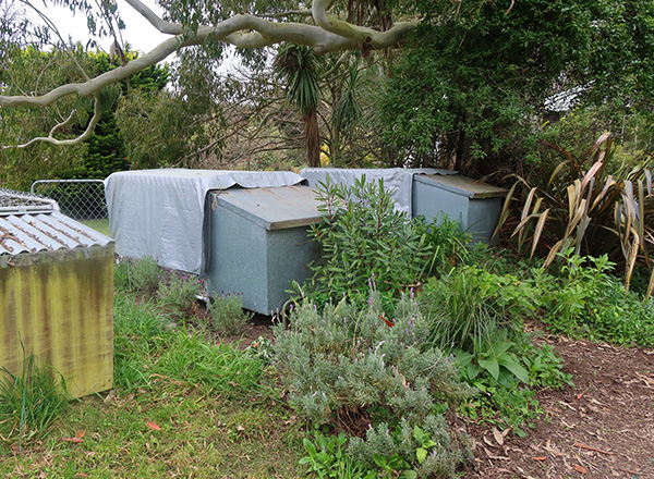  Escher the big brown dog still has his kennel here, on the left. 