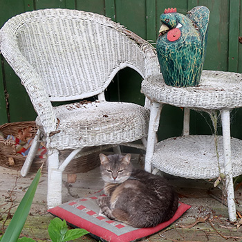  On her cushion. 