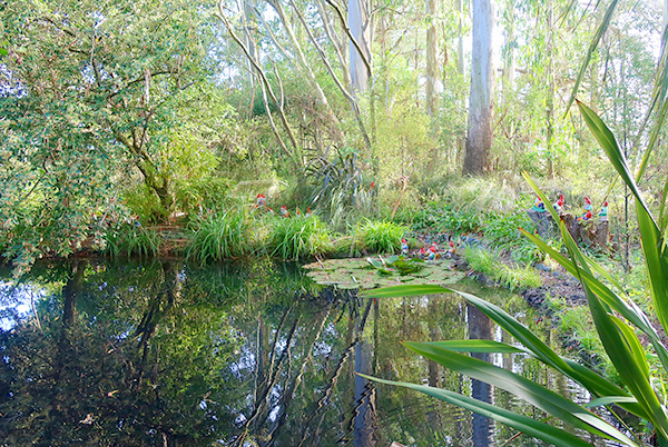  Gnomes fishing by the waterlilies 