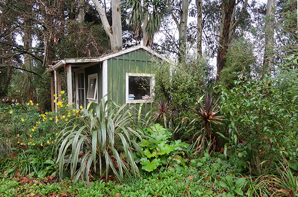  In front of the tall gum trees.  