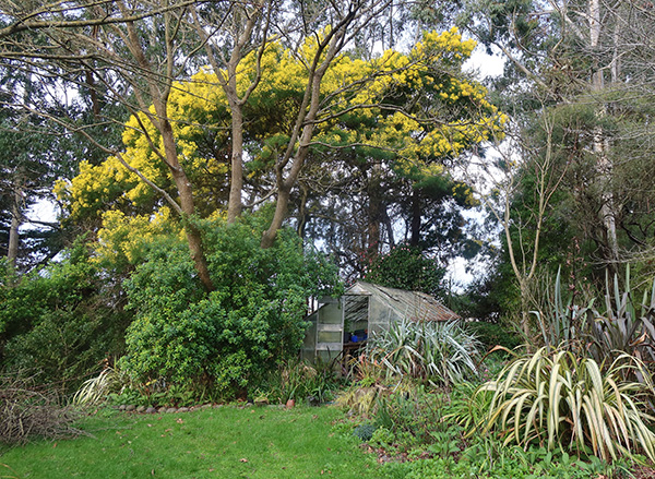  The Apple Tree mess is just to the left on the lawn. 