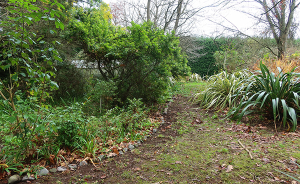  The edge garden was enlarged a year ago. 