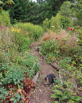  Cleared and passable, as long as you step over the cat! 