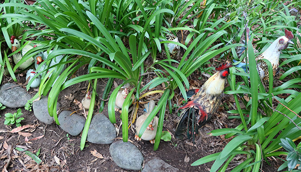  In the Agapanthus. 