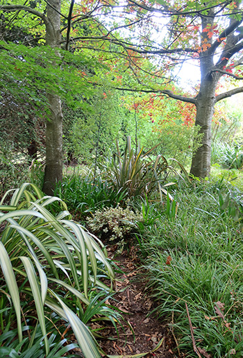  Beautiful greenery! 