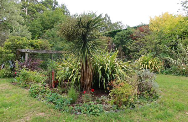  With a nicely trimmed Phormium and a majestic? Cordyline. 